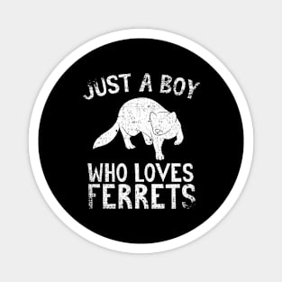 Just A Boy Who Loves Ferrets Magnet